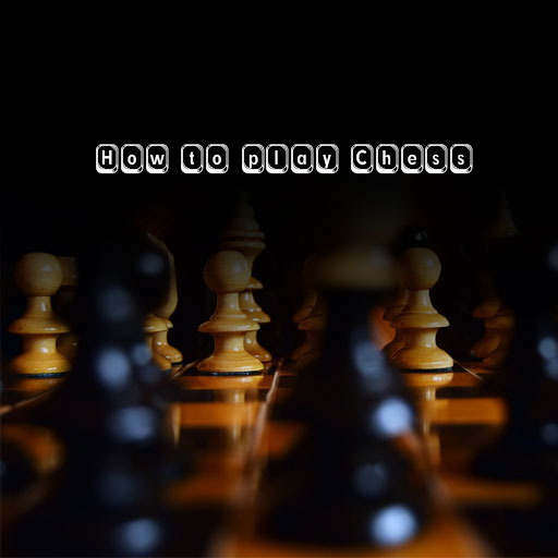 learn how to play chess